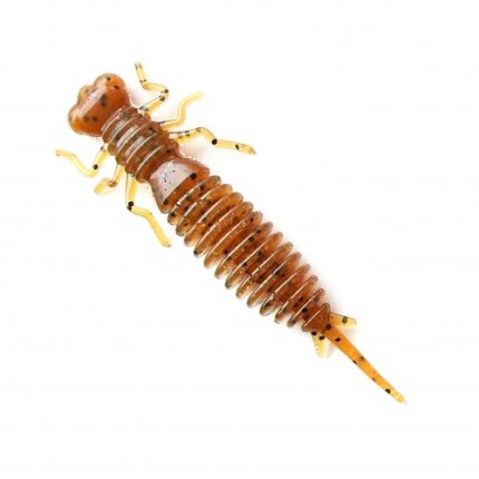 larva20002.jpg