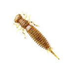 Võdik FANATIK Larva 3" värv 003 6TK/pk