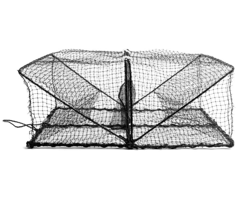 PILT (16) Vähipüünis ASSERI - 60x45x24cm - Image 1