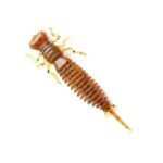 Võdik FANATIK Larva - 3"/7,5cm - 6tk - Image 3