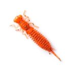 Võdik FANATIK Larva - 2"/5cm - 8tk - Image 3