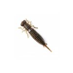 Võdik FANATIK Larva - 3"/7,5cm - 6tk - Image 5