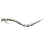 Võdik WESTIN Bloodteez - 7.5cm - 8pcs - Image 2